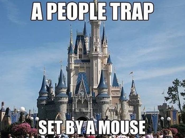 visting disney world as an adult