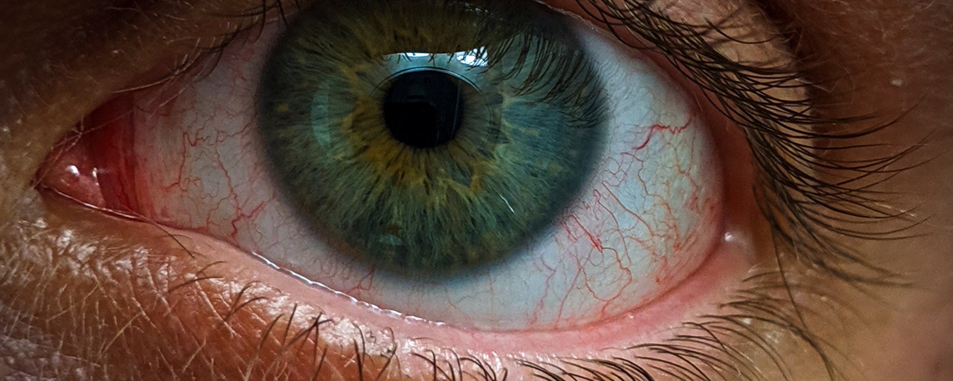 what the mirror doesnt show