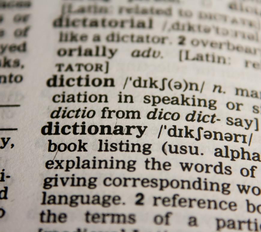 dictionary definition