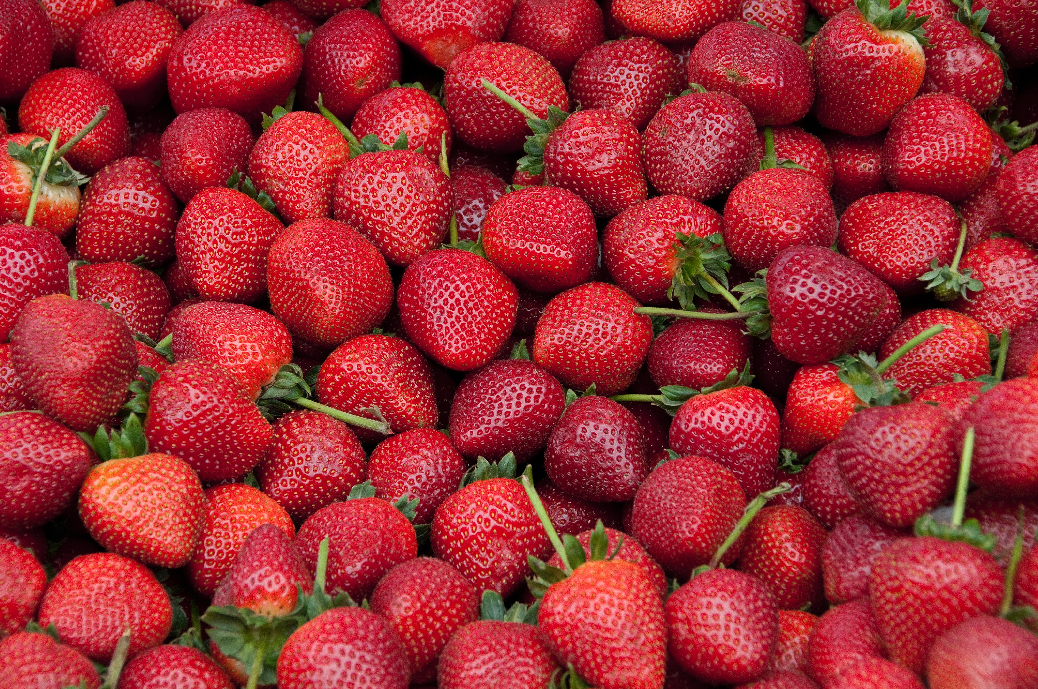 pile of strawberries