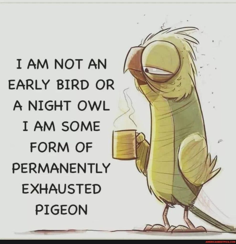 image of an exhausted bird holding a hot beverage with the words "i am not an early bird or a night owl i am son form of permanently exhausted pigeon"